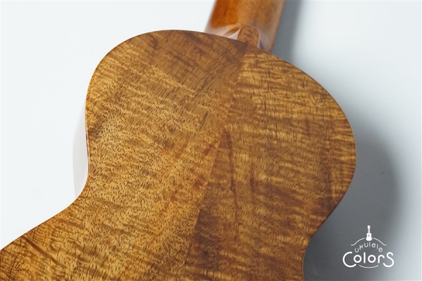 ECO-C+ - Koa